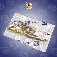 پیچ هواگیری چرخ سایپا ABS گلپارت G.P.CO