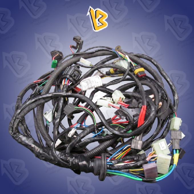 دسته سیم محفظه موتور دیزل اصلی ABS  24012DM002